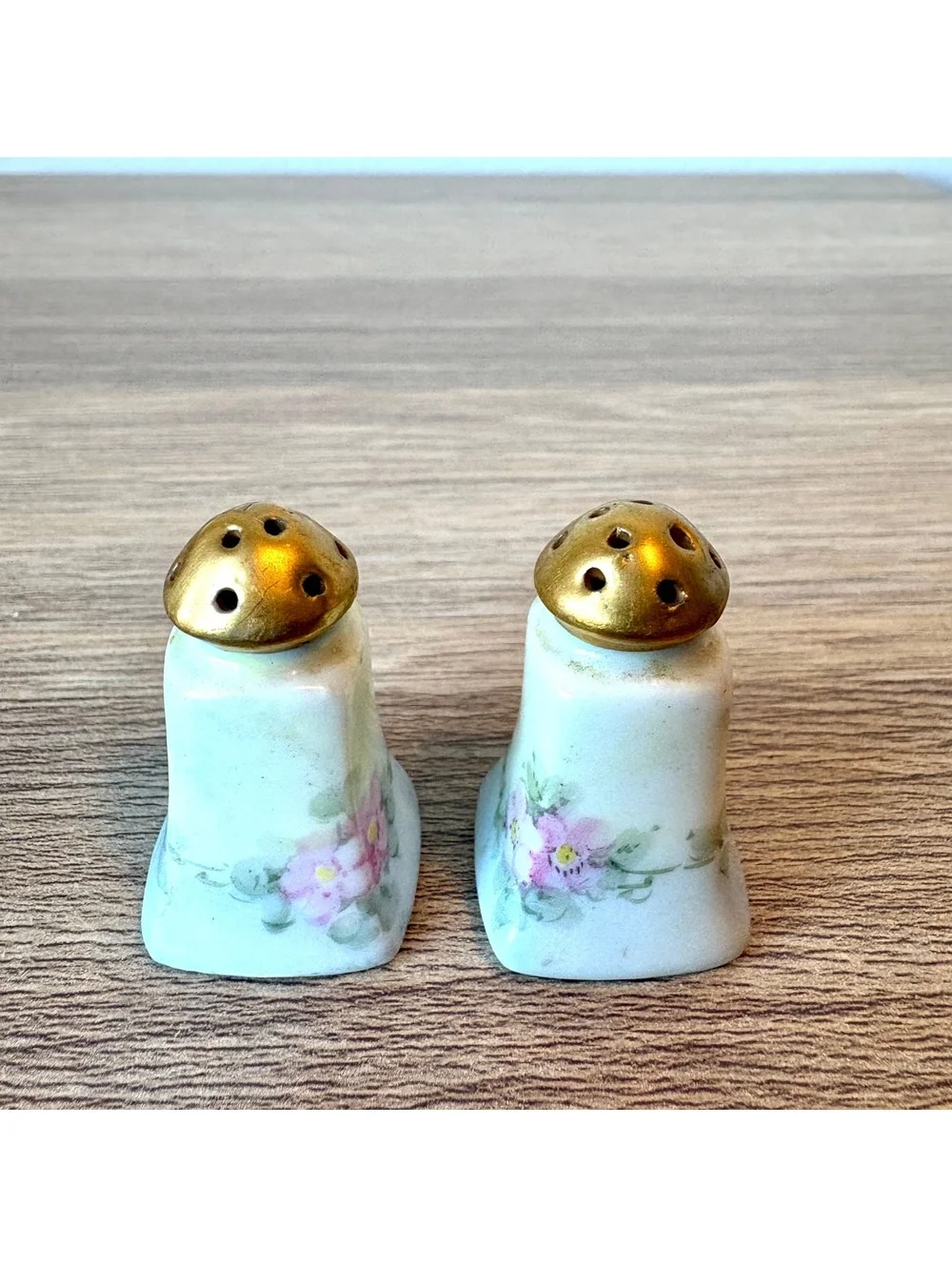 Vintage Floral Porcelain Salt & Pepper Shakers Gold Tone Tops, Hand Painted